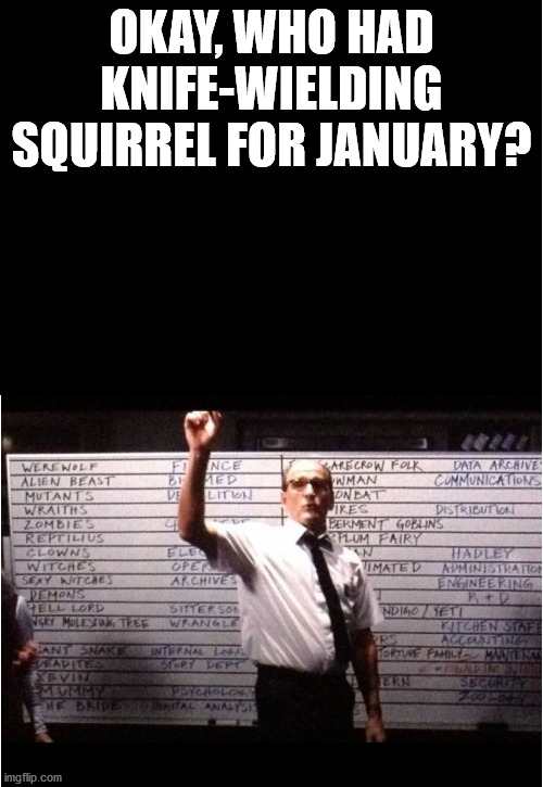 Ok Who Had Knife-Wielding Squirrel For January? | OKAY, WHO HAD KNIFE-WIELDING SQUIRREL FOR JANUARY? | image tagged in ok who had | made w/ Imgflip meme maker