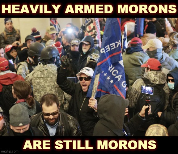 Bullying and intimidation only take you so far, in this case, to prison. | HEAVILY ARMED MORONS; ARE STILL MORONS | image tagged in qanon,morons,idiots,fools | made w/ Imgflip meme maker