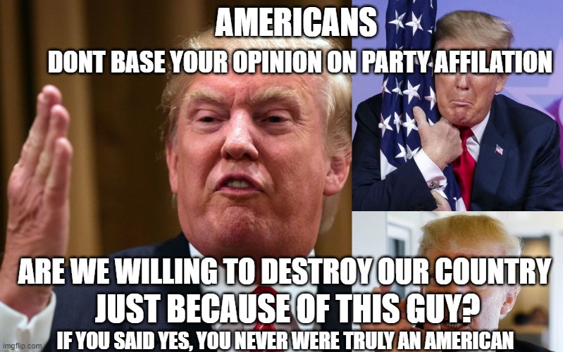 Lets all Unite and be One, United We stand, Divided we Fall | AMERICANS; DONT BASE YOUR OPINION ON PARTY AFFILATION; ARE WE WILLING TO DESTROY OUR COUNTRY; JUST BECAUSE OF THIS GUY? IF YOU SAID YES, YOU NEVER WERE TRULY AN AMERICAN | image tagged in the truth,trump is not worth it | made w/ Imgflip meme maker