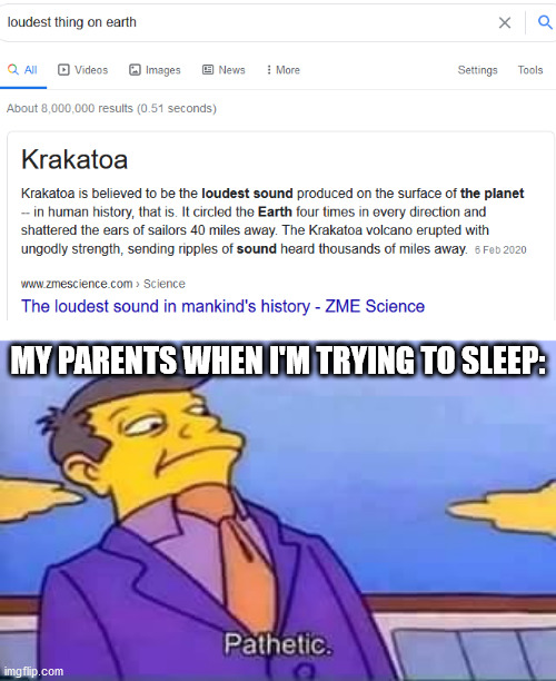 Like stop! Seriously! I need sleep! |  MY PARENTS WHEN I'M TRYING TO SLEEP: | image tagged in skinner pathetic,memes,funny,loud,gifs,pie charts | made w/ Imgflip meme maker