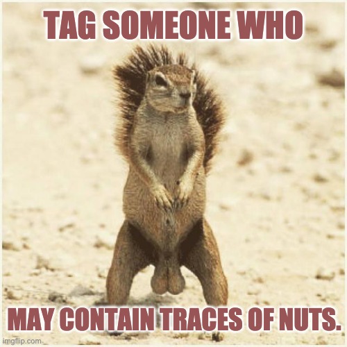 Traces of Nuts | TAG SOMEONE WHO; MAY CONTAIN TRACES OF NUTS. | image tagged in deez nuts | made w/ Imgflip meme maker