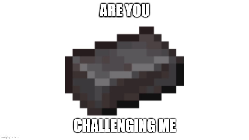 Netherite | ARE YOU CHALLENGING ME | image tagged in netherite | made w/ Imgflip meme maker
