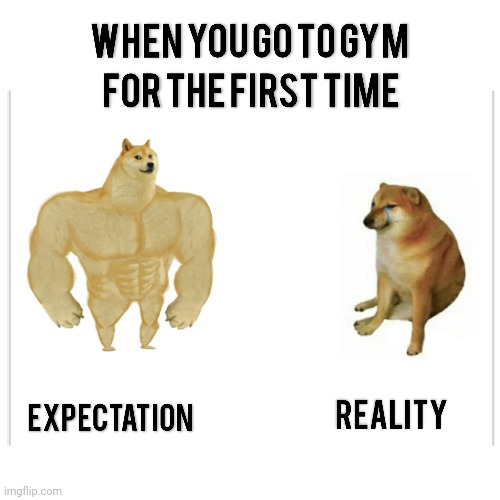 Gym: Expectation and Reality | image tagged in buff doge vs cheems,gym,expectation vs reality | made w/ Imgflip meme maker