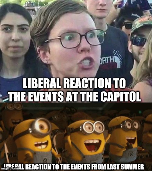 They have things in common but they are classified differently? Oh yeah...duh! Because of Liberal hypocrisy. | LIBERAL REACTION TO THE EVENTS AT THE CAPITOL; LIBERAL REACTION TO THE EVENTS FROM LAST SUMMER | image tagged in triggered liberal,cheering minions,stupid liberals,liberal hypocrisy,riots | made w/ Imgflip meme maker