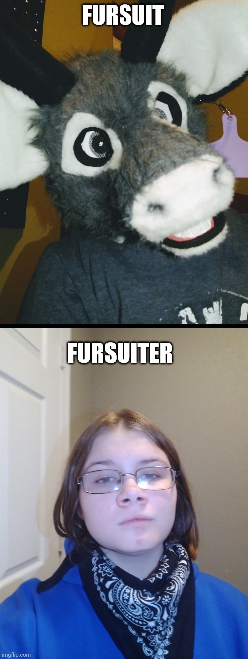 Fursuit vs Fursuiter because y e s | FURSUIT; FURSUITER | made w/ Imgflip meme maker