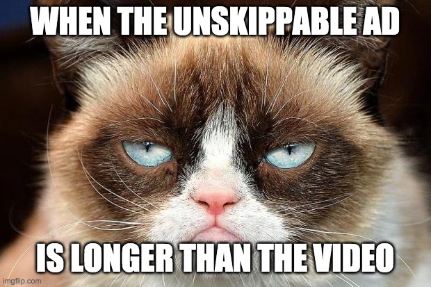 youtube: I was a business man... doing business. | WHEN THE UNSKIPPABLE AD; IS LONGER THAN THE VIDEO | image tagged in memes,grumpy cat not amused,grumpy cat | made w/ Imgflip meme maker