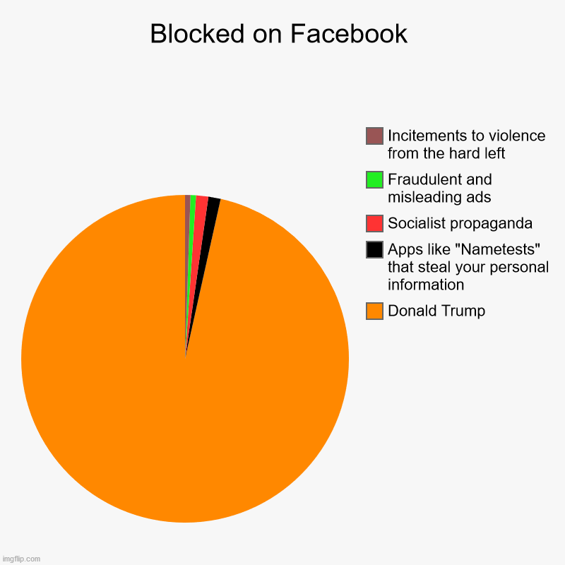 FakeNewsBook | Blocked on Facebook | Donald Trump, Apps like "Nametests" that steal your personal information, Socialist propaganda, Fraudulent and mislead | image tagged in charts,pie charts,politics,fakebook,facebook | made w/ Imgflip chart maker