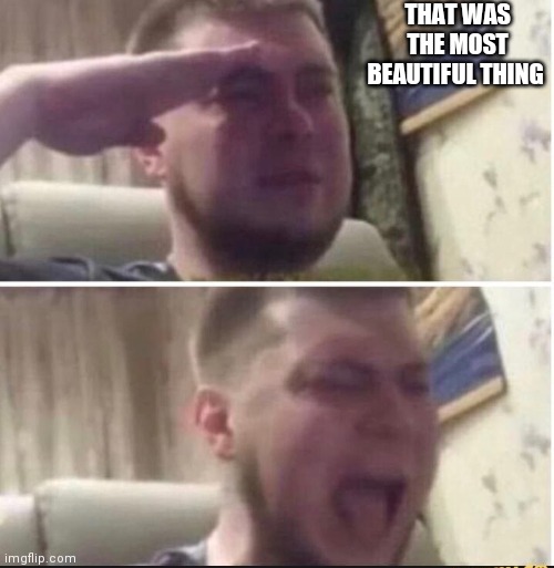 Crying salute | THAT WAS THE MOST BEAUTIFUL THING | image tagged in crying salute | made w/ Imgflip meme maker