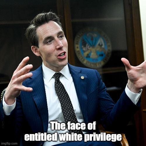 josh hawley the face of entitled white privilege | The face of entitled white privilege | image tagged in entitled,josh hawley,white privilege | made w/ Imgflip meme maker