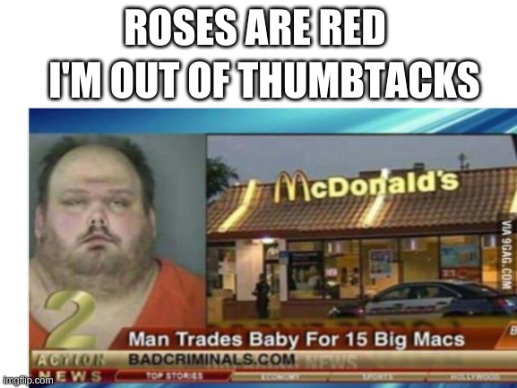 ROSES ARE RED; I'M OUT OF THUMBTACKS | image tagged in funny,people are strange,hello,you're actually reading the tags,hows you're day going,who actually reads these | made w/ Imgflip meme maker