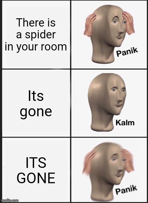 Just a repost of my first meme | There is a spider in your room; Its gone; ITS GONE | image tagged in memes,panik kalm panik,repost,first meme,ever | made w/ Imgflip meme maker