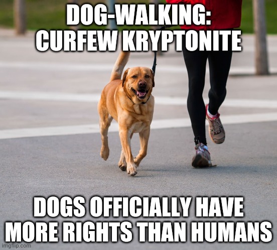 Quebec 8pm lockdown curfew. From selfish Boomer Legault. Happy New Year! | DOG-WALKING: CURFEW KRYPTONITE; DOGS OFFICIALLY HAVE MORE RIGHTS THAN HUMANS | image tagged in canadian politics,montreal,ontario,doug ford,lockdown,police state | made w/ Imgflip meme maker