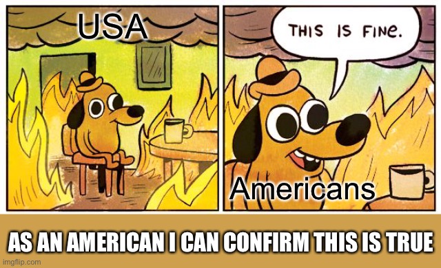 This Is Fine | USA; Americans; AS AN AMERICAN I CAN CONFIRM THIS IS TRUE | image tagged in memes,this is fine | made w/ Imgflip meme maker