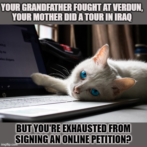 How do you fight your battles? | YOUR GRANDFATHER FOUGHT AT VERDUN, 
YOUR MOTHER DID A TOUR IN IRAQ; BUT YOU'RE EXHAUSTED FROM SIGNING AN ONLINE PETITION? | image tagged in online petition,warrior cats,verdun,battle | made w/ Imgflip meme maker