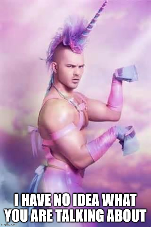 Gay Unicorn | I HAVE NO IDEA WHAT YOU ARE TALKING ABOUT | image tagged in gay unicorn | made w/ Imgflip meme maker