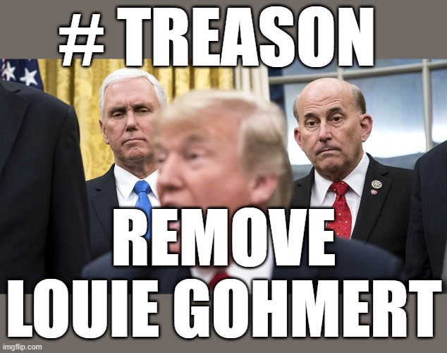 REMOVE LOUIE GOHMERT | # TREASON; REMOVE LOUIE GOHMERT | image tagged in treason,louie gohmert,texas,amerian traitor,issurection,remove | made w/ Imgflip meme maker