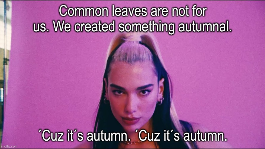 Dua Lipa Meme #2 - Don´t You Agree Autumn Version [Cause It´s Autumn.] | Common leaves are not for us. We created something autumnal. ´Cuz it´s autumn. ´Cuz it´s autumn. | image tagged in dont you agree | made w/ Imgflip meme maker