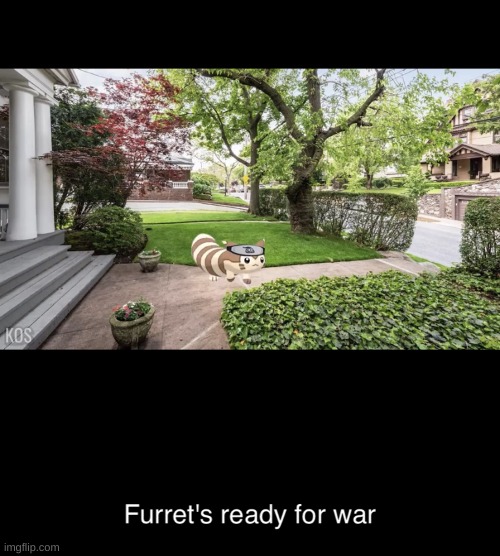 Furrets ready for war | image tagged in furrets ready for war | made w/ Imgflip meme maker
