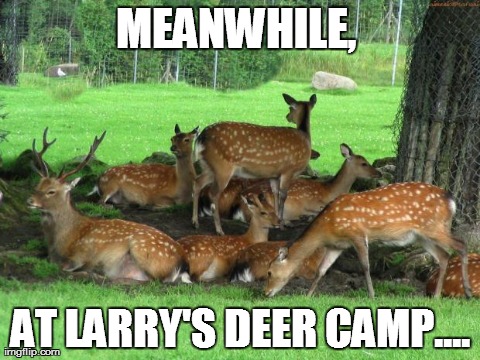 MEANWHILE,  AT LARRY'S DEER CAMP.... | image tagged in deer | made w/ Imgflip meme maker