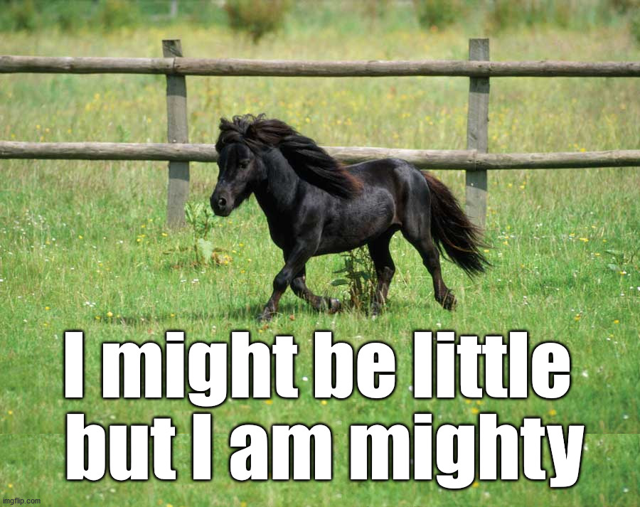 We can be big in all sorts of ways. | I might be little 
but I am mighty | image tagged in a little horse | made w/ Imgflip meme maker