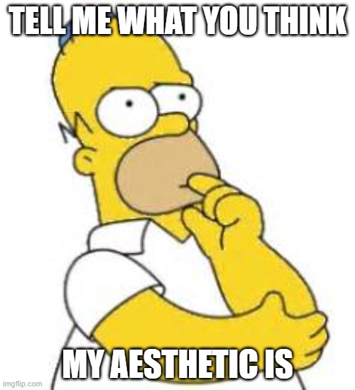 Homer Simpson Hmmmm | TELL ME WHAT YOU THINK; MY AESTHETIC IS | image tagged in homer simpson hmmmm | made w/ Imgflip meme maker
