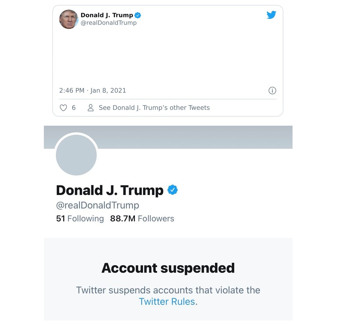 Trump Twitter Account Suspended Blank Meme Template