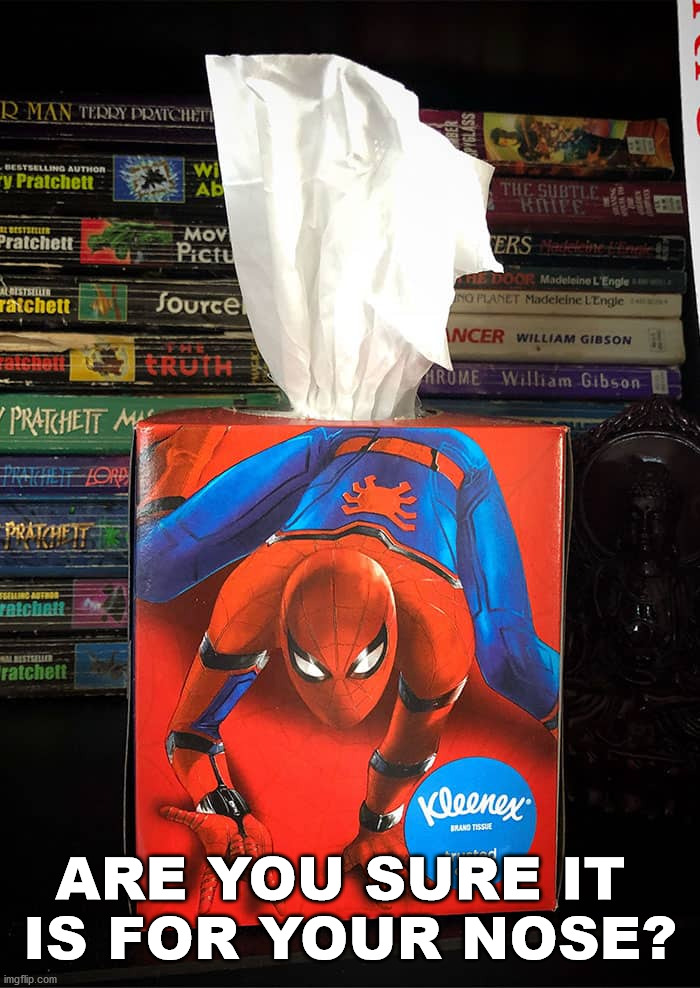 ARE YOU SURE IT 
IS FOR YOUR NOSE? | image tagged in spiderman | made w/ Imgflip meme maker