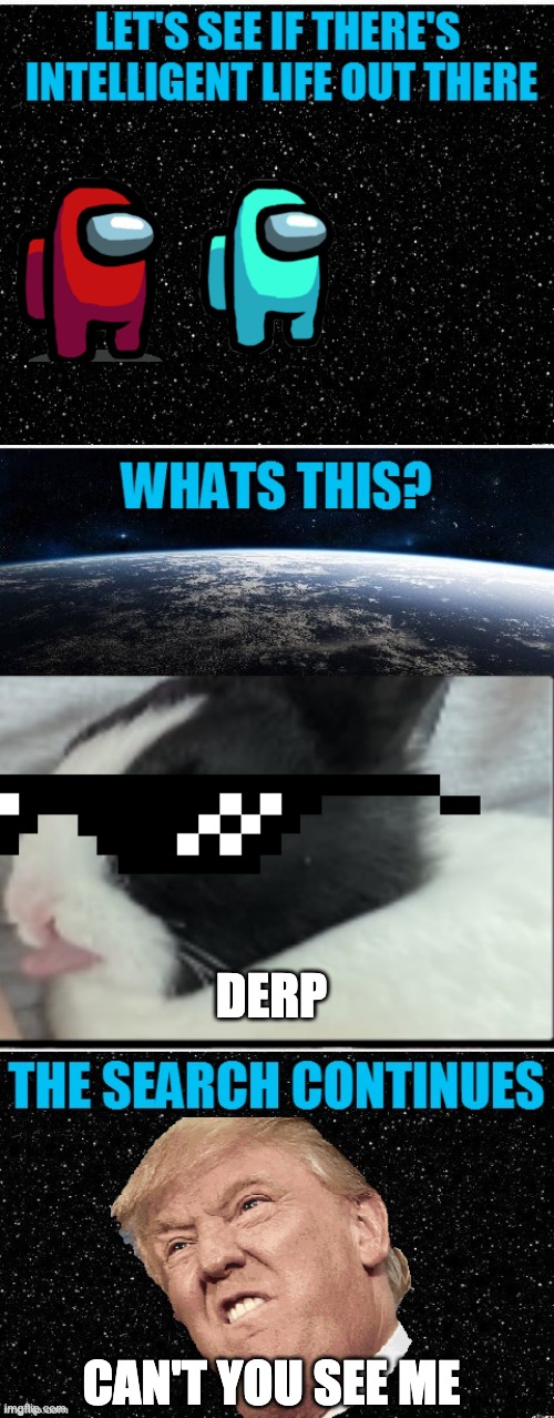 derp | DERP; CAN'T YOU SEE ME | image tagged in the search continues | made w/ Imgflip meme maker