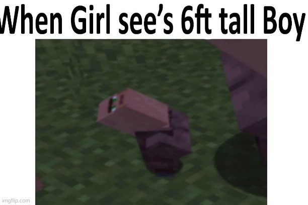 image tagged in minecraft,funny,tall,women | made w/ Imgflip meme maker