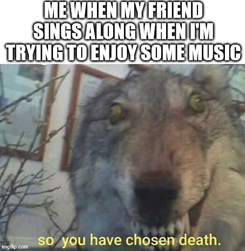 Why won't you let me enjoy some music, smh | ME WHEN MY FRIEND SINGS ALONG WHEN I'M TRYING TO ENJOY SOME MUSIC | image tagged in so you have chosen death | made w/ Imgflip meme maker