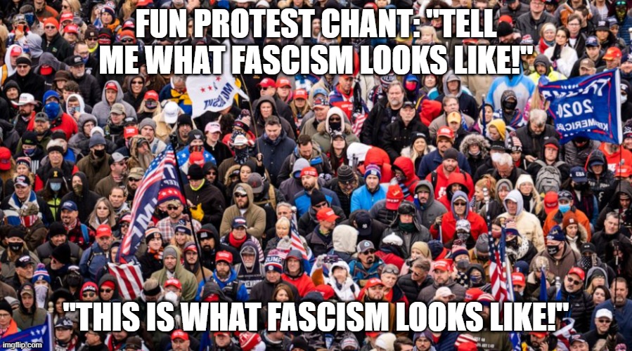 Show me what fascism looks like | FUN PROTEST CHANT: "TELL ME WHAT FASCISM LOOKS LIKE!"; "THIS IS WHAT FASCISM LOOKS LIKE!" | image tagged in fascism,coup attempt,seditionists,white supremacists | made w/ Imgflip meme maker