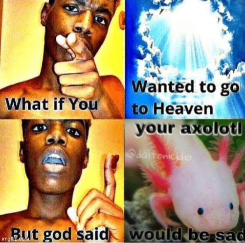Never let axolotl be sad | image tagged in yes | made w/ Imgflip meme maker