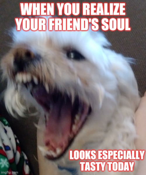 WHEN YOU REALIZE YOUR FRIEND'S SOUL; LOOKS ESPECIALLY TASTY TODAY | image tagged in hungry dog | made w/ Imgflip meme maker