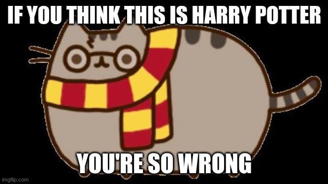 Is it..? | IF YOU THINK THIS IS HARRY POTTER; YOU'RE SO WRONG | image tagged in harry potter cat | made w/ Imgflip meme maker