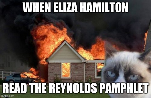 THERE IS a cAT | WHEN ELIZA HAMILTON; READ THE REYNOLDS PAMPHLET | image tagged in memes,burn kitty,grumpy cat | made w/ Imgflip meme maker