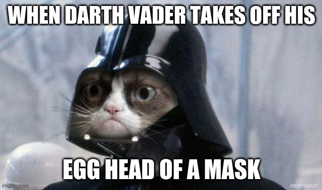 "His egg head of a mask" is off | WHEN DARTH VADER TAKES OFF HIS; EGG HEAD OF A MASK | image tagged in memes,grumpy cat star wars,grumpy cat | made w/ Imgflip meme maker