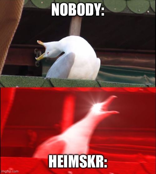 whos worse heimskr or nazeem? | NOBODY:; HEIMSKR: | image tagged in screaming seagull,skyrim,elder scrolls,annoying | made w/ Imgflip meme maker