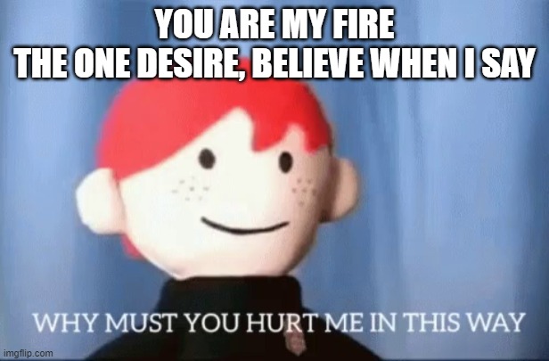 why must you hurt me in this way | YOU ARE MY FIRE THE ONE DESIRE, BELIEVE WHEN I SAY | image tagged in why must you hurt me in this way,memes,backstreet boys | made w/ Imgflip meme maker