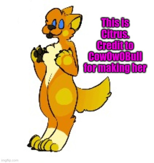 CowOwOBull is an AMAZING artist. | This is Citrus. Credit to CowOwOBull for making her | made w/ Imgflip meme maker