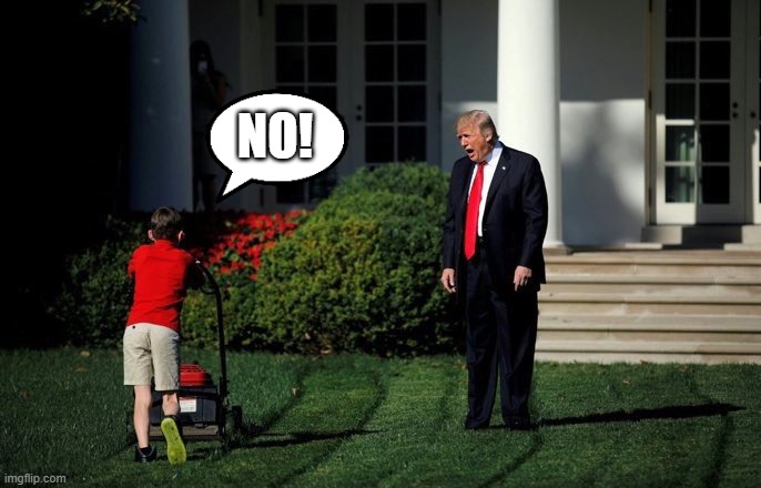 Trump Lawn Mower | NO! | image tagged in trump lawn mower | made w/ Imgflip meme maker