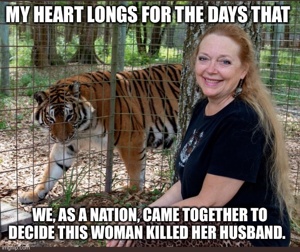 Carole Baskin | MY HEART LONGS FOR THE DAYS THAT; WE, AS A NATION, CAME TOGETHER TO DECIDE THIS WOMAN KILLED HER HUSBAND. | image tagged in carole baskin | made w/ Imgflip meme maker