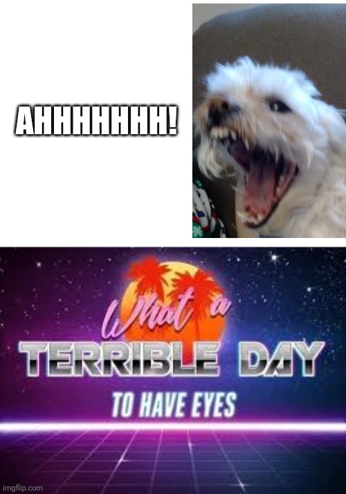 My dog yawning lol | AHHHHHHH! | image tagged in what a terrible day to have eyes | made w/ Imgflip meme maker