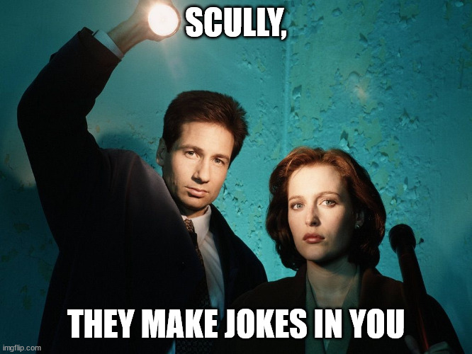 X files | SCULLY, THEY MAKE JOKES IN YOU | image tagged in x files | made w/ Imgflip meme maker