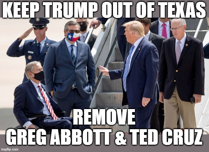 KEEP TRUMP OUT OF TEXAS; REMOVE
 GREG ABBOTT & TED CRUZ | image tagged in covid,death,treason,trump,abbott,texas | made w/ Imgflip meme maker