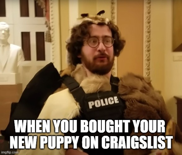 New Puppy | WHEN YOU BOUGHT YOUR 
NEW PUPPY ON CRAIGSLIST | image tagged in what animal is this | made w/ Imgflip meme maker