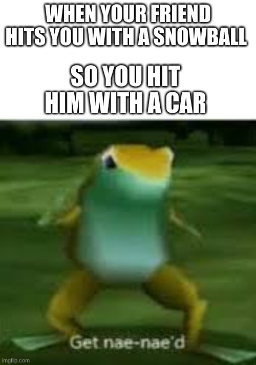 Snowball | WHEN YOUR FRIEND HITS YOU WITH A SNOWBALL; SO YOU HIT HIM WITH A CAR | image tagged in get nae naed,memes | made w/ Imgflip meme maker