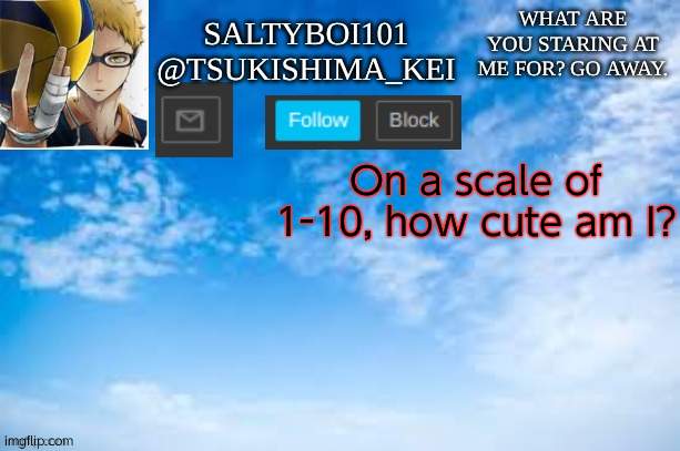 Yeet | On a scale of 1-10, how cute am I? | image tagged in yeet | made w/ Imgflip meme maker