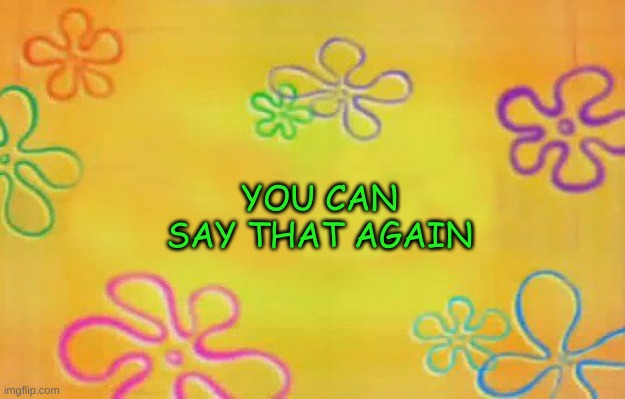 Spongebob time card background  | YOU CAN SAY THAT AGAIN | image tagged in spongebob time card background | made w/ Imgflip meme maker