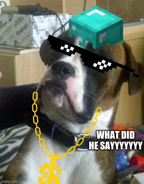 WHAT DID HE SAYYYYYYY | image tagged in bad pun dog | made w/ Imgflip meme maker