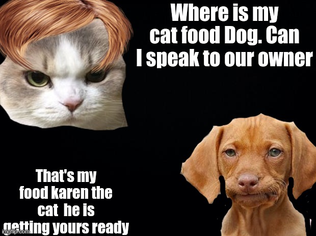 My Bro Made this give him support | Where is my cat food Dog. Can I speak to our owner; That's my food karen the cat  he is getting yours ready | image tagged in omg karen,dissapointed puppy,parrel universe time,pets,cats,dogs | made w/ Imgflip meme maker